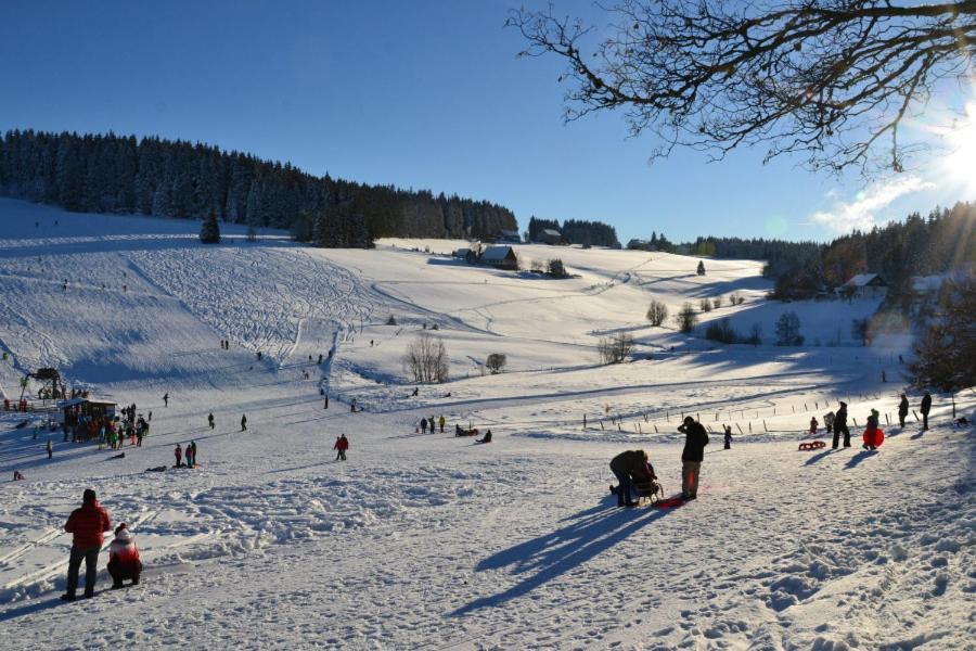 Apartment In Schwarzwald
